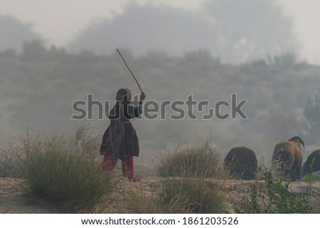 nomad woman in tradition dress with herd of sheep 