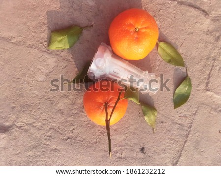 the picture of oranges and salt shaker on floor