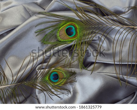 Peacock feathers on elegant smooth ultimate gray satin, silk fabric drapes. Luxurious cloth textile with liquid wave. Background in boho style. Twenty years chic. Fabric shiny glitter  texture. 