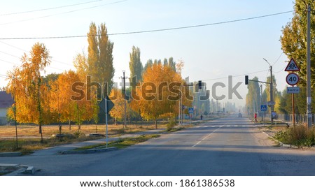Suburb of Bishkek city. Autumn birches.