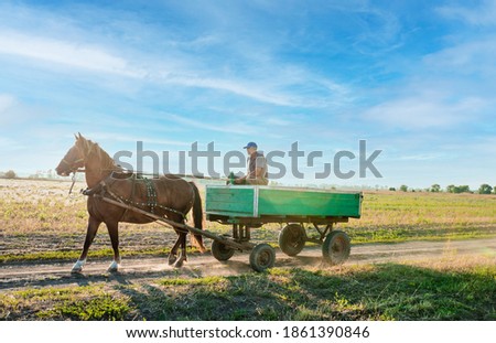 The man is riding an old carriage Royalty-Free Stock Photo #1861390846