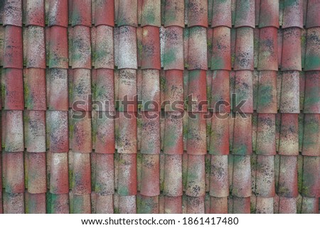 Detail of repeating terracotta patterns. Old looking mossy modern italian roof tiles.