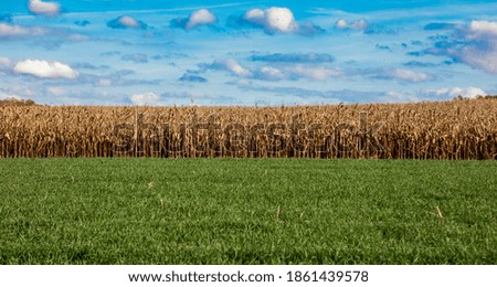 Pennsylvania rural farm with crops during fall