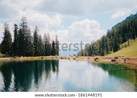 Lake inside a forest with mountains in the background