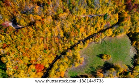 Top view of curvy, winding roadway with autumn colors. 