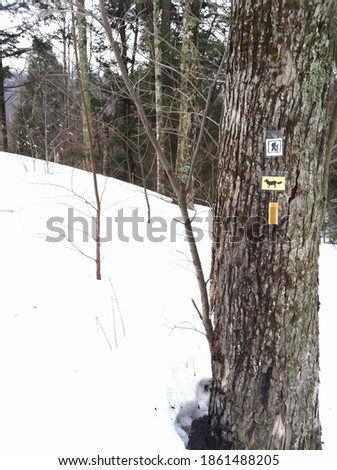 Icons and a yellow marker show the way for hikers and foxes on a snow covered hiking and cross country ski trail in the New England woods.  