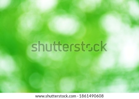 Green nature bokeh blur for backdrop