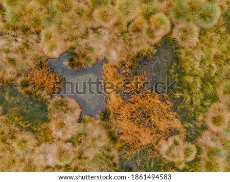 Aerial view of peat bog pattern with lake,green orange mosses in Sumava National Park, Czech republic.Colorful aerial landscape.Top view drone shot of fresh fall nature.Bog wetlands.Shallow  basin 
