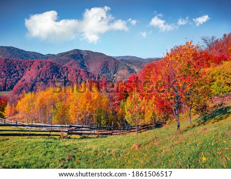 Landscape photography. Sunny autumn view of the mountain valley. Spectacular morning scene of mountain village, Carpathians, Ukraine, Europe. Beautiful autumn scenery.
