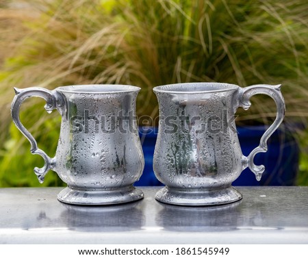 Two frosty vintage pewter tankards sitting on a grill with ornamental grasses in the background