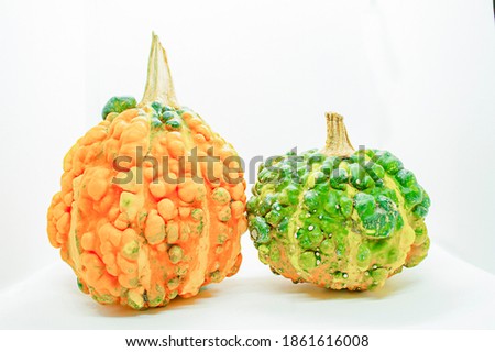 Yellow and green decorative pumpkins on a light background