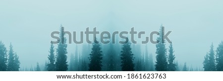 Misty fog in pine forest on mountain slopes. Moody photo of winter and autumn season.