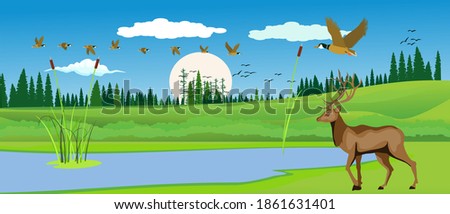 Natural landscape, deer under tree on the green summer hills, vector illustration