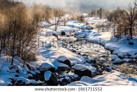 peaceful morning sunlight shining on snow covered creeks and dry trees near mountain in winter time in rural Japan 
