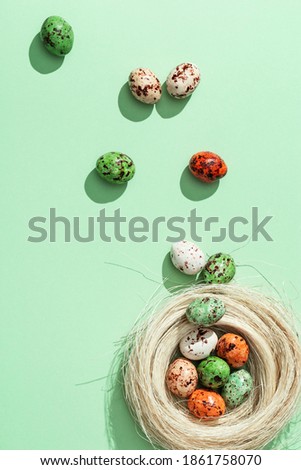 Colorful  chocolate Quail eggs in straw nest on light green. Birds nest with small eggs, spring Easter holiday background.