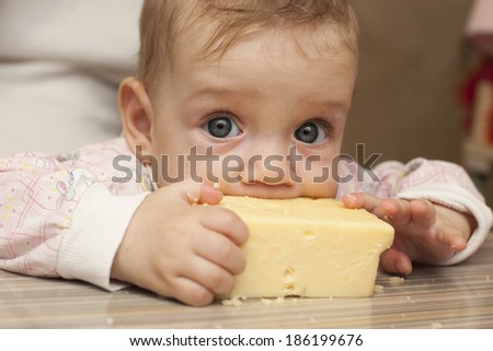 Seven-month baby sitting at the table eats a big piece of cheese and big eyes looking at the camera. home furnishings Royalty-Free Stock Photo #186199676
