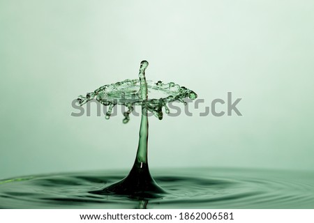 Artistic water drops colliding and creating a water crown on green background. Concept of calm, purity and serenity.