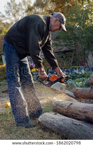 A man in old clothes in the garden is sawing wood for the winter with a chainsaw. Hands and a saw are illuminated by a ray of the sun, sawdust is flying everywhere. Foreground of long firewood trees.