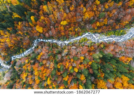 Aerial view of mountain river passing through the autumn forest in the mountains