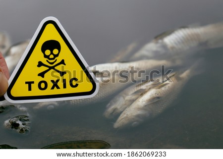 a dead fish on the riverbank with a yellow toxicity mark in his hand