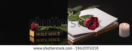 collage of red rose on holy bible on black background, funeral concept, banner