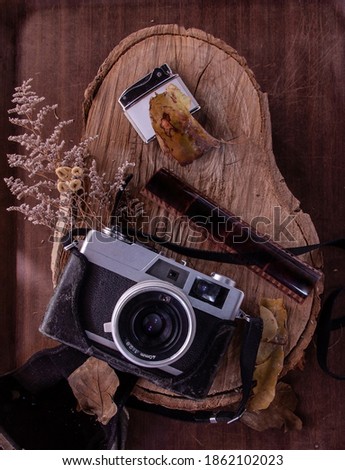 Vintage camera with old lighter negative on natural tree log wit