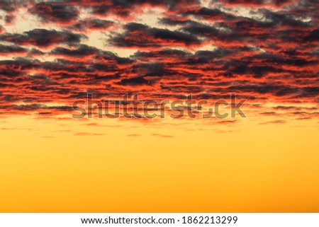 Beautiful red clouds illuminated by the rays of the sun at sunset float across the Golden sky.