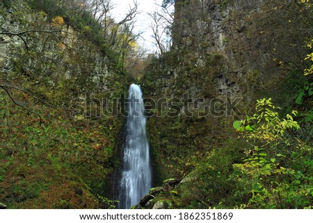 Landscape photography of the waterfall in the forest of Japan.