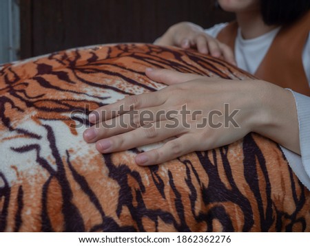hand of beautiful woman put on tiger texture pillow. white and smooth hand on animal design furniture. artistic photography background