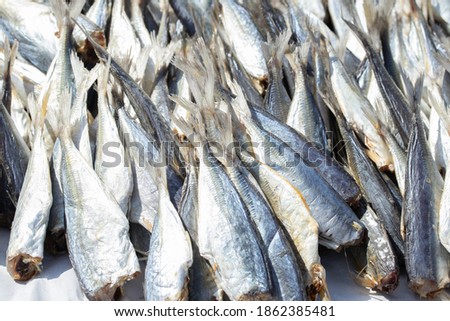 Dried salted fish in the sun