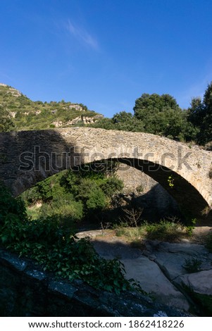 Stone bridge in the middle of the forest
 
