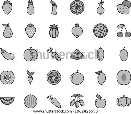 Thin line gray tint vector icon set - beet vector, carrot, strawberry, cherry, apple, half apricot, raspberry, rose hip, medlar, mulberry, water melon, mango, goji berry, peach, slice, date fruit