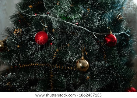 Decoration on green christmas tree is waiting