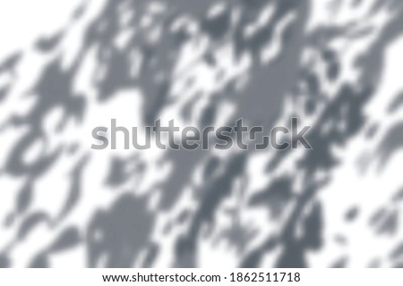 Realistic shadow composition with monochrome shadows of foliage leaves on white wall vector illustration
