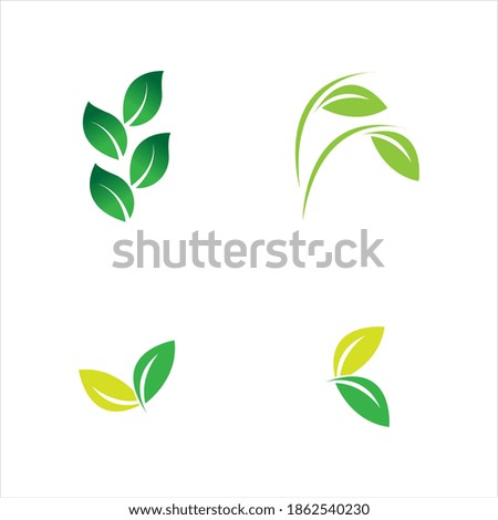 leaf logo vector illustration design template