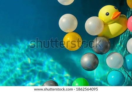 Toy Duck and colorful balls floating in the swimming pool, close up
