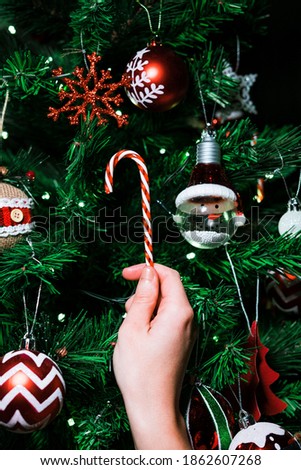 Hand holding red christmas cane with christmas tree in background and red decoration
