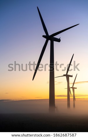 Three commercial wind turbines in thick fog at sunrise in the English countryside