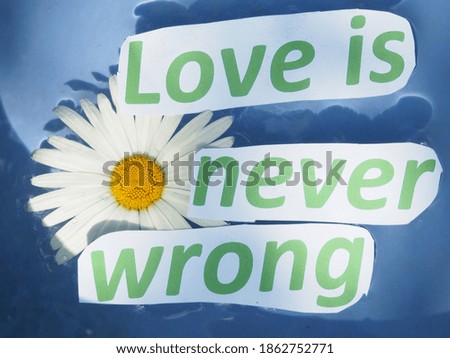 love is never wrong. paper cut letters on water