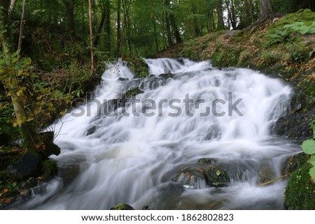 Fast flowing river in forest. 