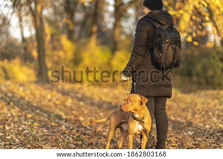 
A woman with a dog enjoys the autmn