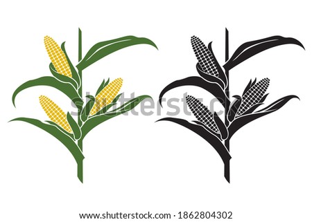 collection of corn stalk illustrations isolated on white background Royalty-Free Stock Photo #1862804302