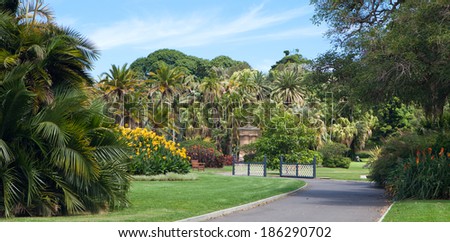 Sydney botanical gardens