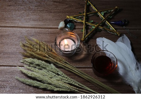 A spell ritual to increase agricultural productivity. By using witch equipment This picture is suitable for the description of ancient rituals.