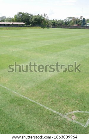 Details of the grass soccer field taken from above