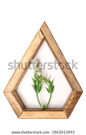 wooden hexagonal wall decorative   frame with an artificial flower in the center. on a white isolated background.