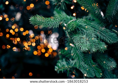 this is a stock photo that shows a Christmas tree, bokeh, background