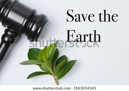 Top view of green leaves and judge gavel over white background written with text SAVE THE EARTH. 