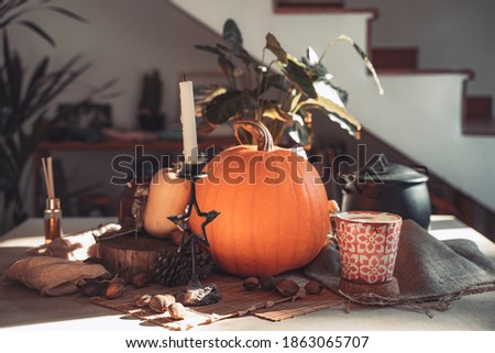 Halloween pumpkin with candle lit in a table. Skeleton, candles, nuts. Teal and orange beautiful still life.