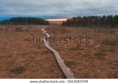 walking wooden trail among yellow autumn swamps on the sunset.  Sestroretsk bog reserve in St. Petersburg.